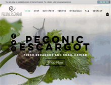 Tablet Screenshot of peconicescargot.com